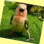 ヒメ日記 2025/08/22 13:45 投稿 あいり 鶯谷デリヘル倶楽部