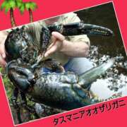 ヒメ日記 2025/08/29 11:48 投稿 あいり 鶯谷デリヘル倶楽部