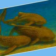 ヒメ日記 2025/09/30 15:42 投稿 あいり 鶯谷デリヘル倶楽部