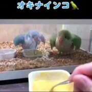 ヒメ日記 2025/10/06 13:32 投稿 あいり 鶯谷デリヘル倶楽部