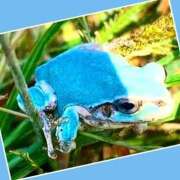 ヒメ日記 2025/10/12 15:42 投稿 あいり 鶯谷デリヘル倶楽部