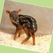 ヒメ日記 2025/10/15 17:32 投稿 あいり 鶯谷デリヘル倶楽部