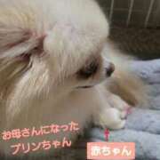 ヒメ日記 2025/11/16 09:32 投稿 あいり 鶯谷デリヘル倶楽部