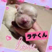 ヒメ日記 2025/11/19 21:52 投稿 あいり 鶯谷デリヘル倶楽部