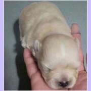 ヒメ日記 2025/11/28 17:32 投稿 あいり 鶯谷デリヘル倶楽部