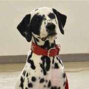 ヒメ日記 2025/11/29 15:42 投稿 あいり 鶯谷デリヘル倶楽部