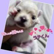 ヒメ日記 2025/11/30 17:32 投稿 あいり 鶯谷デリヘル倶楽部