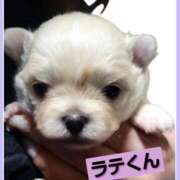 ヒメ日記 2025/12/05 17:42 投稿 あいり 鶯谷デリヘル倶楽部