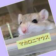 あいり 「やっと会えた」❗️ 鶯谷デリヘル倶楽部