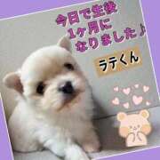 ヒメ日記 2025/12/14 17:52 投稿 あいり 鶯谷デリヘル倶楽部