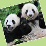 ヒメ日記 2025/12/16 15:42 投稿 あいり 鶯谷デリヘル倶楽部