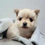 ヒメ日記 2025/12/24 15:42 投稿 あいり 鶯谷デリヘル倶楽部