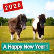 ヒメ日記 2026/01/03 19:12 投稿 あいり 鶯谷デリヘル倶楽部