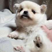 ヒメ日記 2026/01/09 09:16 投稿 あいり 鶯谷デリヘル倶楽部