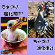 ヒメ日記 2026/01/18 13:42 投稿 あいり 鶯谷デリヘル倶楽部