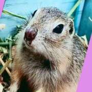 ヒメ日記 2026/01/19 13:42 投稿 あいり 鶯谷デリヘル倶楽部