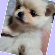 ヒメ日記 2026/01/30 21:52 投稿 あいり 鶯谷デリヘル倶楽部