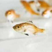 ヒメ日記 2026/02/06 13:42 投稿 あいり 鶯谷デリヘル倶楽部