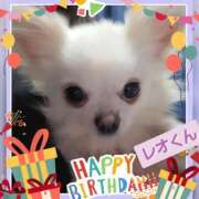 ヒメ日記 2026/02/19 14:32 投稿 あいり 鶯谷デリヘル倶楽部