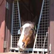 ヒメ日記 2026/02/20 20:52 投稿 あいり 鶯谷デリヘル倶楽部