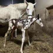 ヒメ日記 2026/02/25 19:32 投稿 あいり 鶯谷デリヘル倶楽部