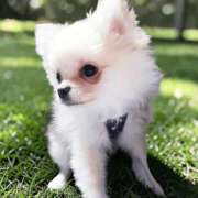 ヒメ日記 2026/02/28 13:42 投稿 あいり 鶯谷デリヘル倶楽部