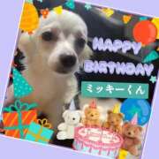 ヒメ日記 2026/03/01 15:42 投稿 あいり 鶯谷デリヘル倶楽部