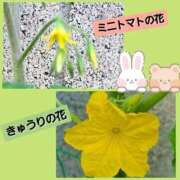 ヒメ日記 2026/06/18 17:47 投稿 あいり 鶯谷デリヘル倶楽部