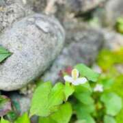ヒメ日記 2025/09/24 21:21 投稿 わかな 三重四日市ちゃんこ