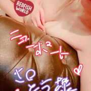 ヒメ日記 2026/03/20 10:50 投稿 りおな One More奥様　八王子店