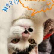 ヒメ日記 2025/05/21 12:29 投稿 畔柳(くろやなぎ) 鶯谷デッドボール