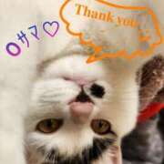 ヒメ日記 2025/05/21 12:36 投稿 畔柳(くろやなぎ) 鶯谷デッドボール