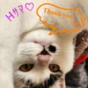 ヒメ日記 2025/05/21 12:40 投稿 畔柳(くろやなぎ) 鶯谷デッドボール