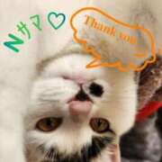 ヒメ日記 2025/05/21 12:59 投稿 畔柳(くろやなぎ) 鶯谷デッドボール