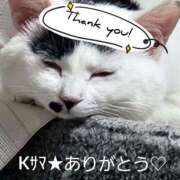 ヒメ日記 2025/05/22 22:52 投稿 畔柳(くろやなぎ) 鶯谷デッドボール