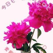 ヒメ日記 2025/05/27 06:46 投稿 畔柳(くろやなぎ) 鶯谷デッドボール