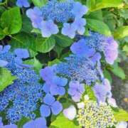 ヒメ日記 2025/06/17 10:52 投稿 畔柳(くろやなぎ) 鶯谷デッドボール