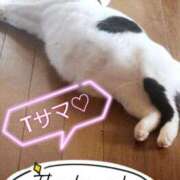 ヒメ日記 2025/06/19 08:49 投稿 畔柳(くろやなぎ) 鶯谷デッドボール