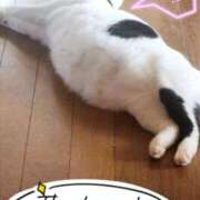 ヒメ日記 2025/06/19 08:53 投稿 畔柳(くろやなぎ) 鶯谷デッドボール