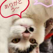 ヒメ日記 2025/06/20 00:19 投稿 畔柳(くろやなぎ) 鶯谷デッドボール