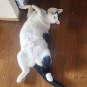 ヒメ日記 2025/06/21 22:49 投稿 畔柳(くろやなぎ) 鶯谷デッドボール