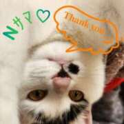 ヒメ日記 2025/06/26 12:59 投稿 畔柳(くろやなぎ) 鶯谷デッドボール