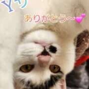 ヒメ日記 2025/06/26 13:02 投稿 畔柳(くろやなぎ) 鶯谷デッドボール