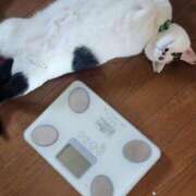 ヒメ日記 2025/06/26 16:49 投稿 畔柳(くろやなぎ) 鶯谷デッドボール