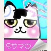 ヒメ日記 2025/06/29 13:24 投稿 畔柳(くろやなぎ) 鶯谷デッドボール