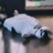 ヒメ日記 2025/06/30 08:19 投稿 畔柳(くろやなぎ) 鶯谷デッドボール