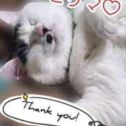 ヒメ日記 2025/07/01 23:23 投稿 畔柳(くろやなぎ) 鶯谷デッドボール