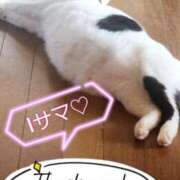 ヒメ日記 2025/07/02 21:59 投稿 畔柳(くろやなぎ) 鶯谷デッドボール