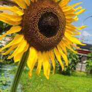 ヒメ日記 2025/07/03 12:49 投稿 畔柳(くろやなぎ) 鶯谷デッドボール