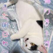 ヒメ日記 2025/07/07 20:49 投稿 畔柳(くろやなぎ) 鶯谷デッドボール